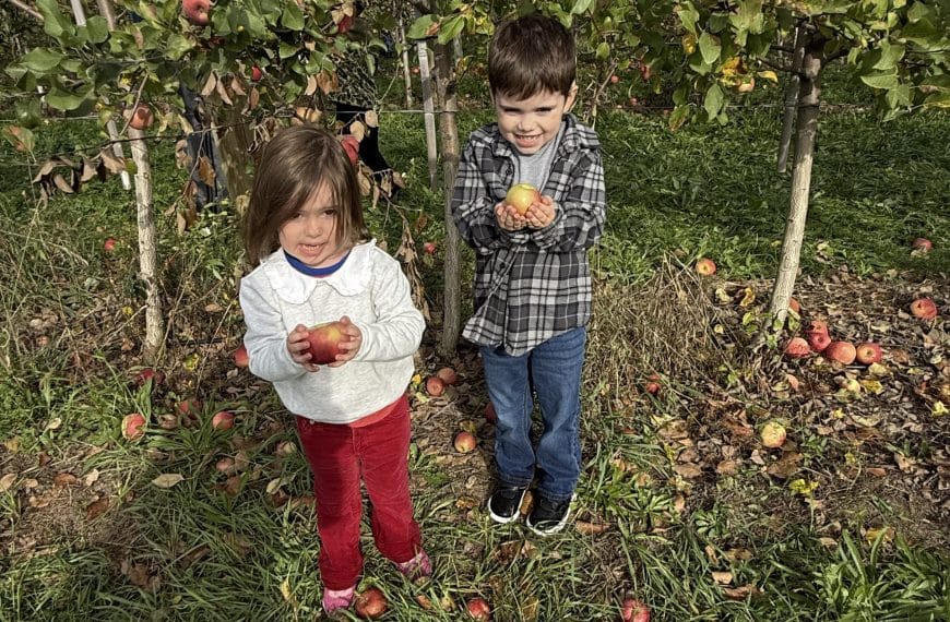 Kids picking apples