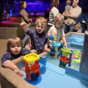 Kids playing at the aquarium
