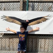 Image of kid attending an event.